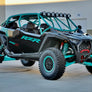 PRO R 4 VR2 A.2 BAJA Cage